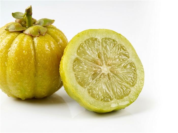 Garcinia cambogia brindle berry-frukt brukt i Hinuki-gelésticks